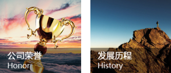 榮譽和歷程